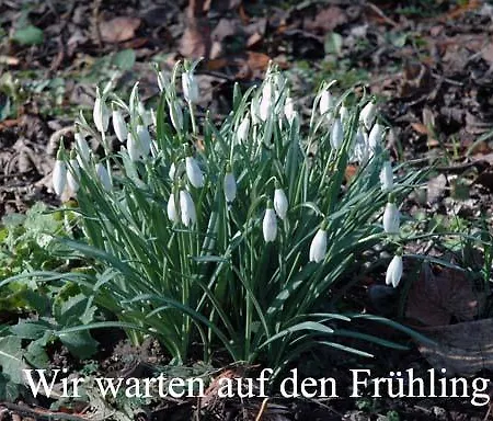 מלון Konigszinne